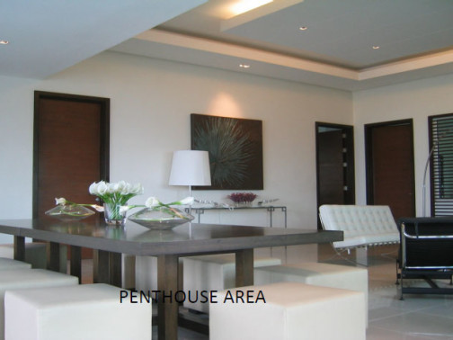 Penthouse Area
